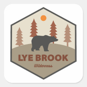 Lye Brook Wilderness Vermont Camping Square Sticker