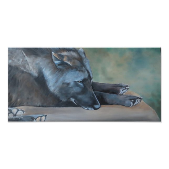 Lying Black Wolf Art Photo Print (Front)