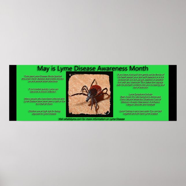 Lyme Disease Awareness Facts Poster (Front)