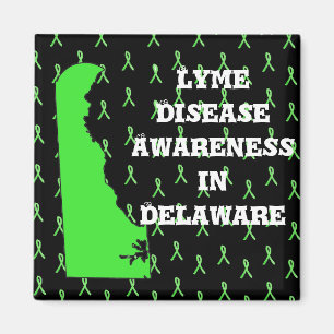 Lyme Disease Awareness in Delaware Magnet