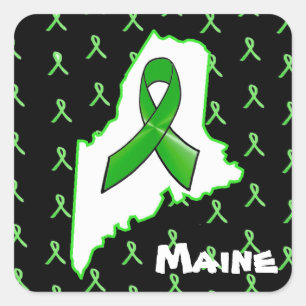 Lyme Disease Awareness in Maine Sticker