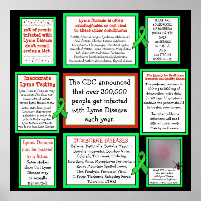Lyme Disease Awareness Poster (Front)