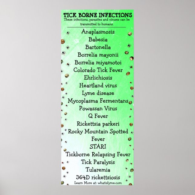 Lyme Disease Awareness Tick Poster (Front)