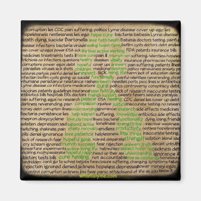 Lyme Disease Feelings Poster Denied Ignored Magnet (Front)