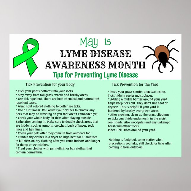 Lyme Disease Prevention Educational Poster (Front)