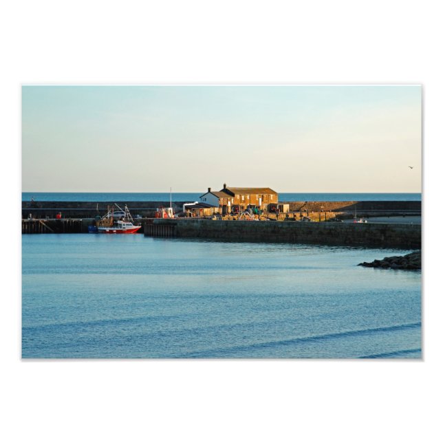 Lyme Regis Cobb Photo Print (Front)
