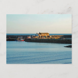 Lyme Regis Cobb Postcard