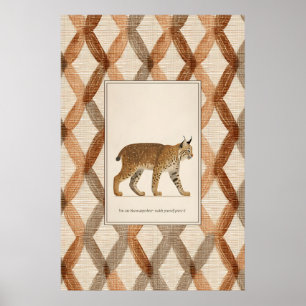 Lynx Animal Illustration Poster Wild Cat Art Print