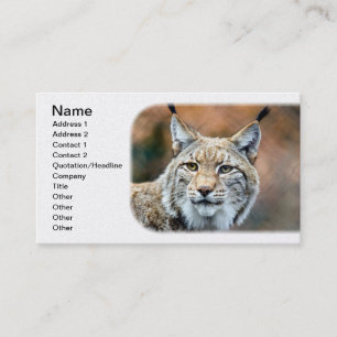 Lynx Bobcat Wildlife Predator Cat Business Card
