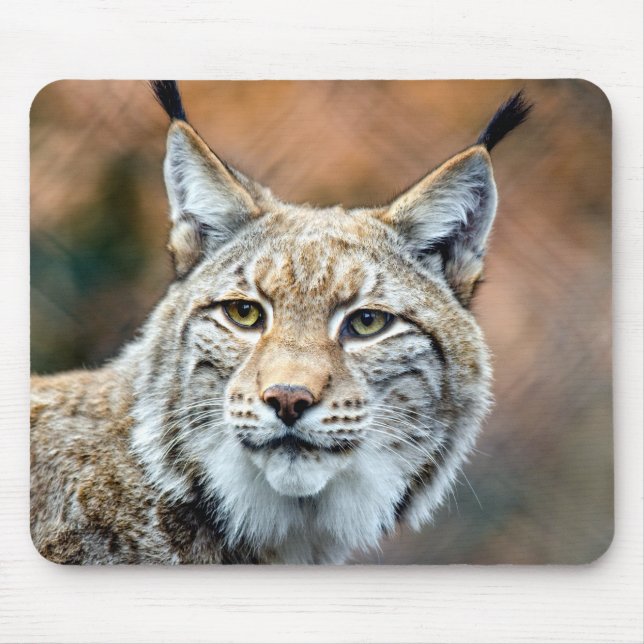 Lynx Bobcat Wildlife Predator Cat Mouse Mat (Front)