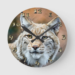 Lynx Bobcat Wildlife Predator Cat Round Clock