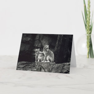 Lynx Card