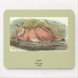 Lynx, Felis lynx Mouse Mat