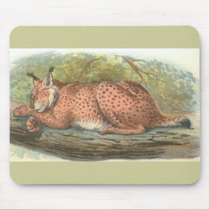 Lynx, Felis lynx Mouse Mat