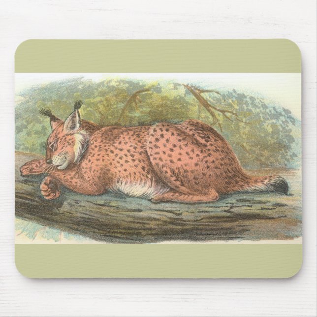Lynx, Felis lynx Mouse Mat (Front)