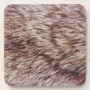 Lynx fur coaster