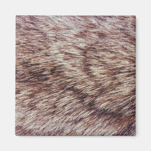 Lynx fur magnet