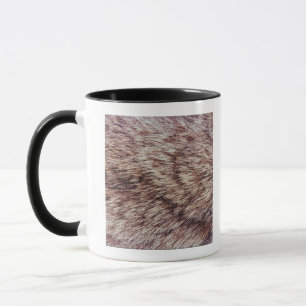 Lynx fur mug