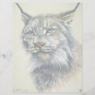 Lynx (head study)