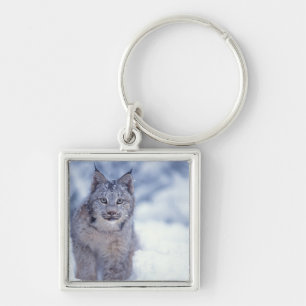 Lynx in the snow in the foothills key ring