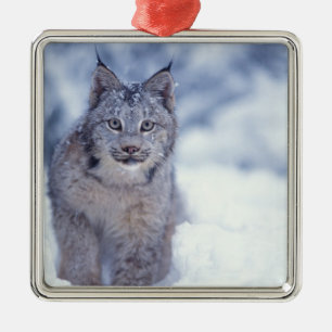 Lynx in the snow in the foothills metal tree decoration