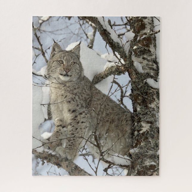 Lynx in Winter Photo Puzzle (Vertical)