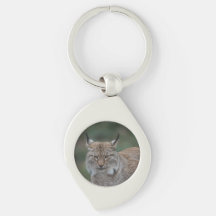 Lynx Looking At You Classic