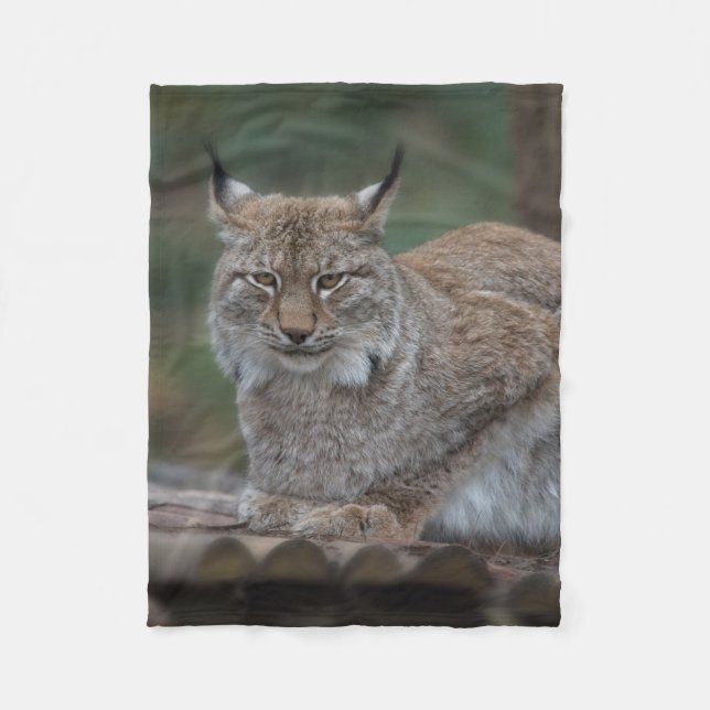 Lynx Looking At You Fleece Blanket (Front)