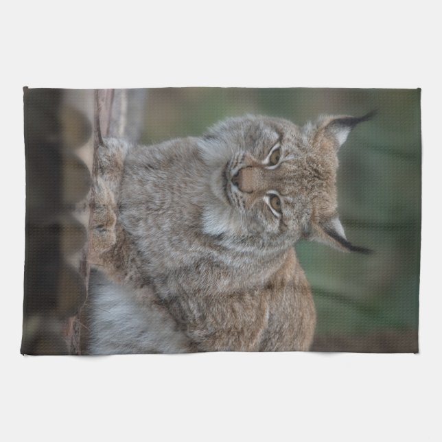 Lynx Looking At You Fleece Blanket Tea Towel (Horizontal)