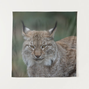 Lynx Looking At You Tapestry