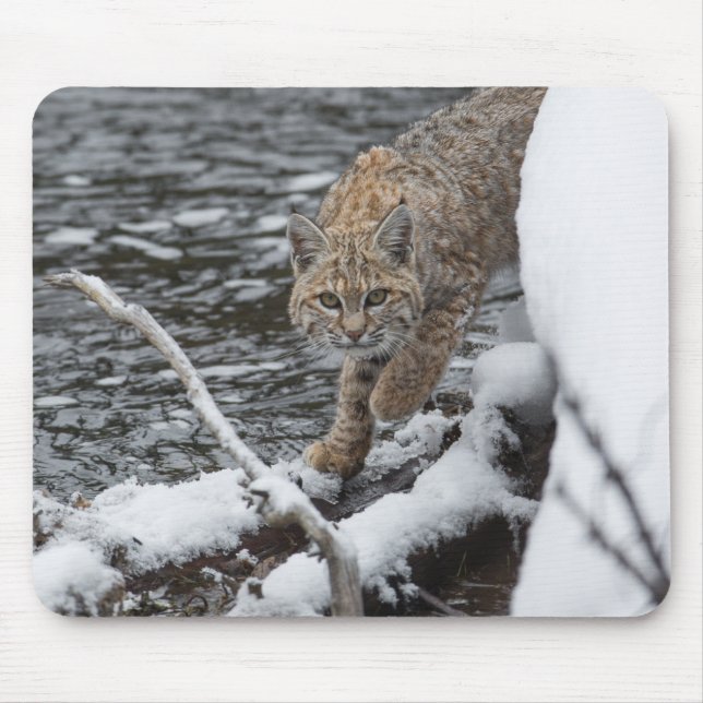 Lynx Mouse Mat (Front)