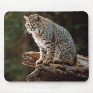 Lynx Mouse Mat