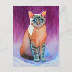 Lynx Point Siamese Cat at Kitty Angels Postcard