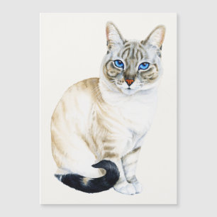 Lynx Point Siamese Cat  Magnetic Card