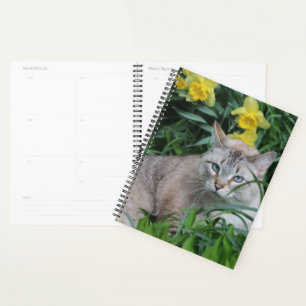 Lynx Point Siamese Cat Planner