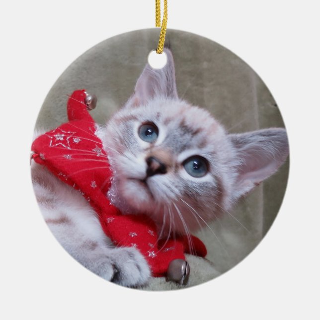 Lynx Point Siamese Ornament (Front)
