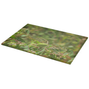 Lynx Spider Cutting Board