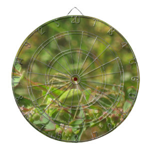 Lynx Spider Dartboard