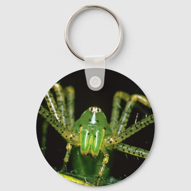 Lynx Spider Key Ring (Front)