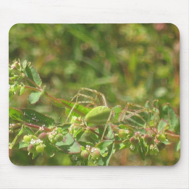 Lynx Spider Mouse Mat (Front)