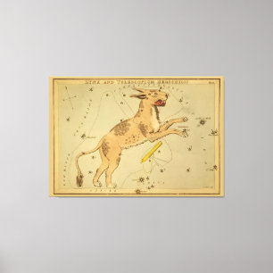 Lynx - Vintage Astronomical Star Chart Image Canvas Print