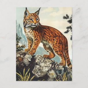 Lynx vintage postcard