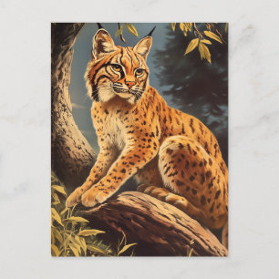 Lynx vintage postcard