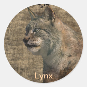 Lynx Wild Cat Wild Animal Stickers