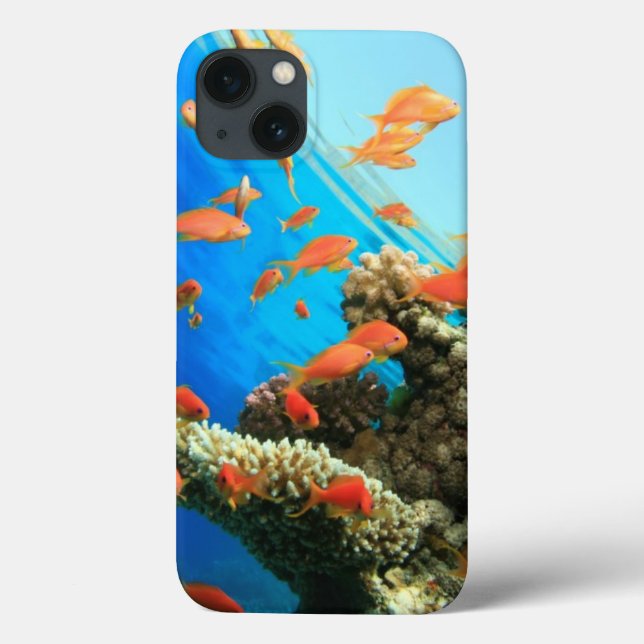 Lyretail anthias on coral reef Case-Mate iPhone case (Back)