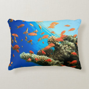 Lyretail anthias on coral reef decorative cushion