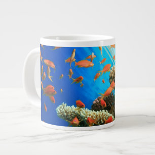 Lyretail anthias on coral reef large coffee mug
