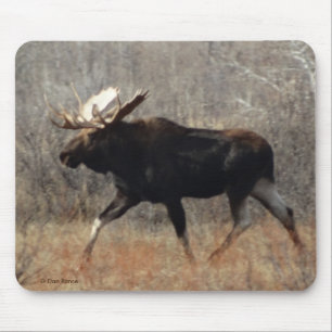 M10 Bull Moose Mouse Mat