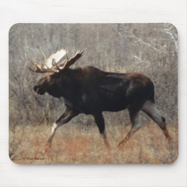 M10 Bull Moose Mouse Mat (Front)