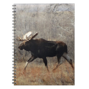 M10 Bull Moose Notebook